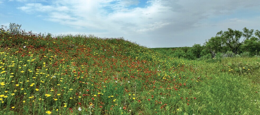 More Photos Of 1510 US Highway 83, Childress Land For Sale
