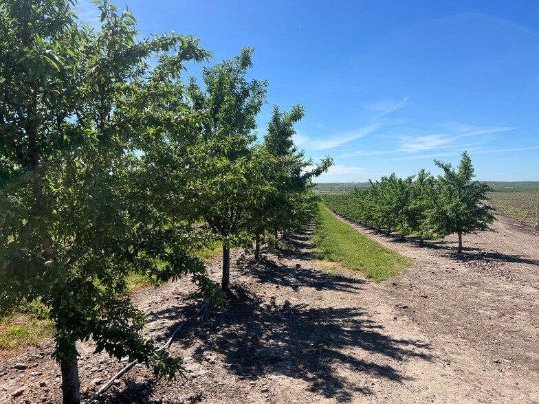 More Photos Of 6000 Tim Bell Rd, Oakdale Land For Sale