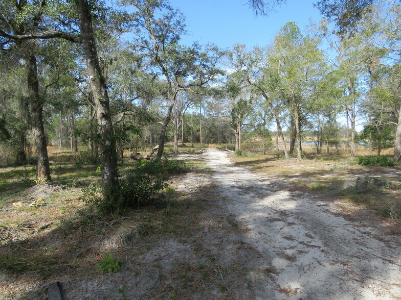 More Photos Of 9570 NE 35th st, Bronson Land For Sale