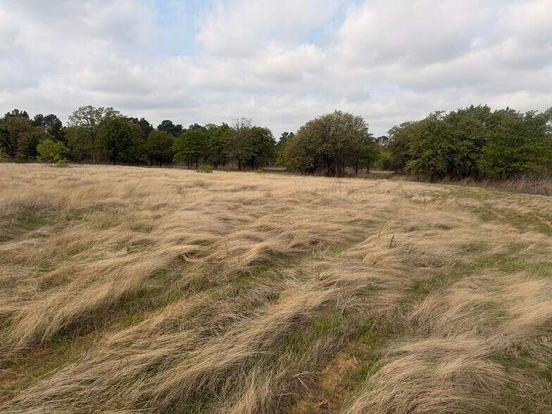 More Photos Of 2548 County Road 2690, Alvord Land For Sale