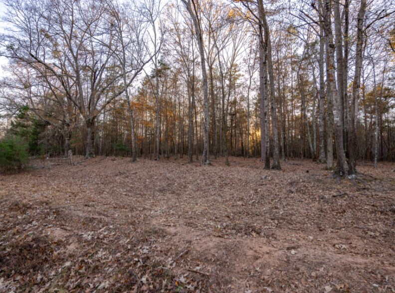 More Photos Of 0 Marshall Tucker Rd, Pauline Land For Sale