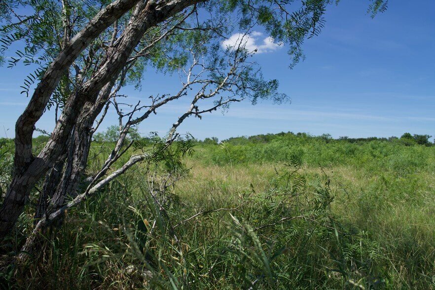 More Photos Of 00 Taylorsville Rd, Red Rock Land For Sale