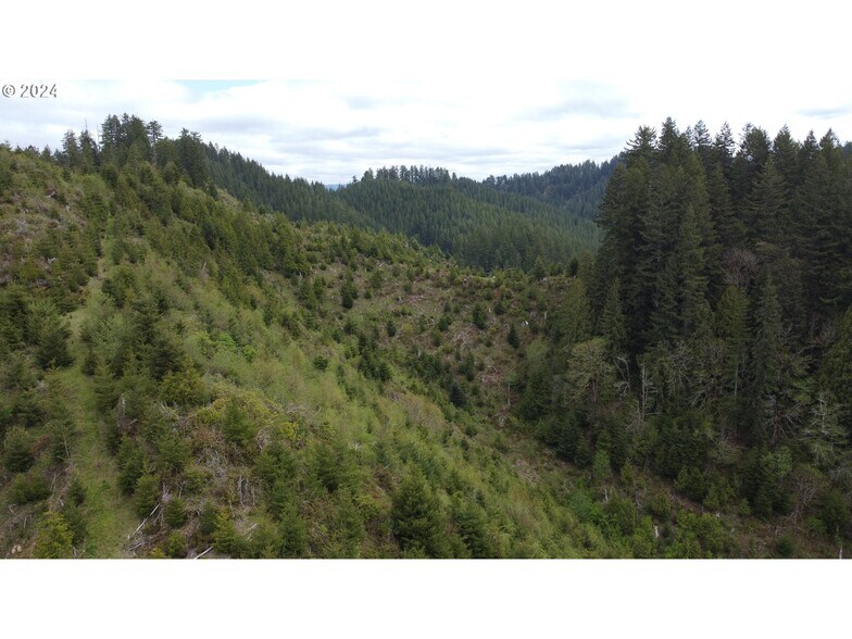 More Photos Of 18-10-00-00-01300500, Mapleton Land For Sale