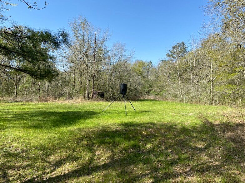More Photos Of 24030 Hegar Rd, Hockley Land For Sale