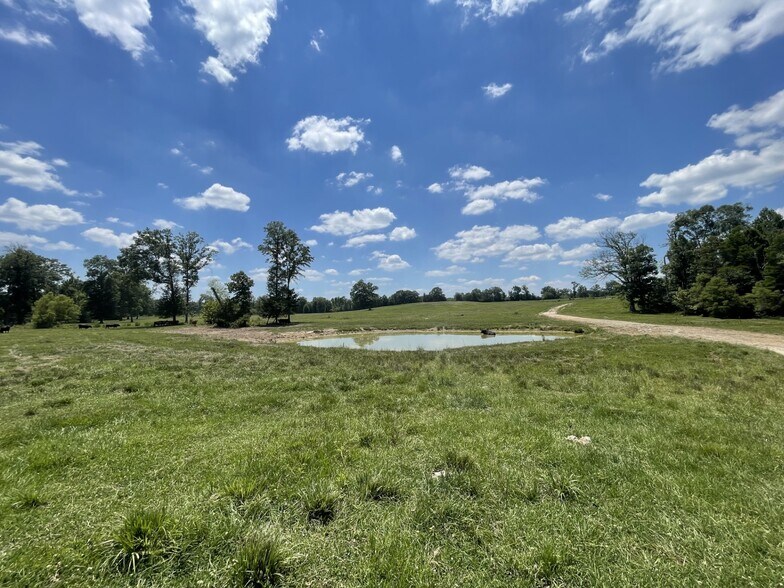 More Photos Of Raspberry Street & 69 hwy, Gallion Land For Sale