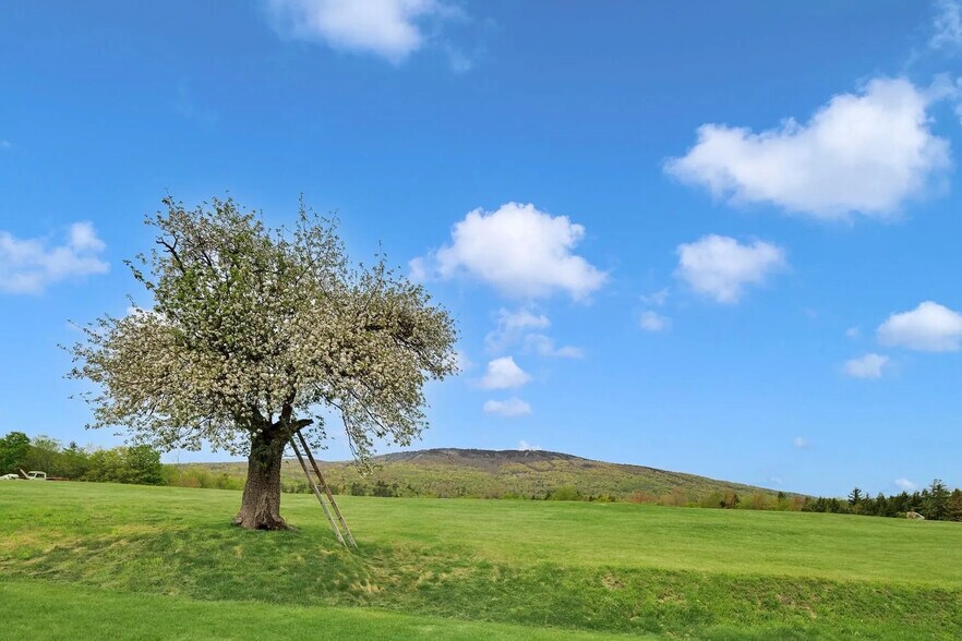 More Photos Of 85 Pallottas Hill Rd, Ludlow Land For Sale