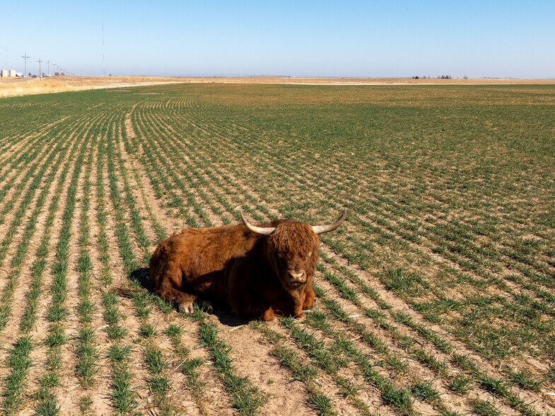 More Photos Of 6001 Co B Rd, Liberal Land For Sale