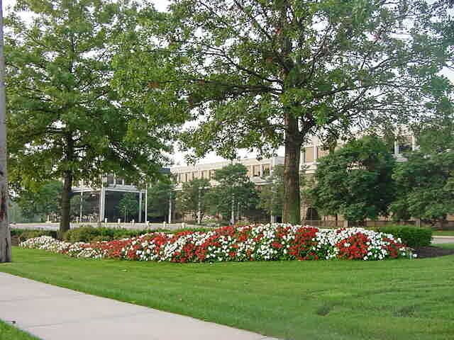 More Photos Of 3320 W Market St, Fairlawn Unknown For Lease