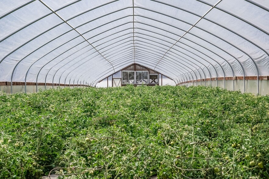 More Photos Of 23175 NE Ridge Rd, Gaston Land For Sale