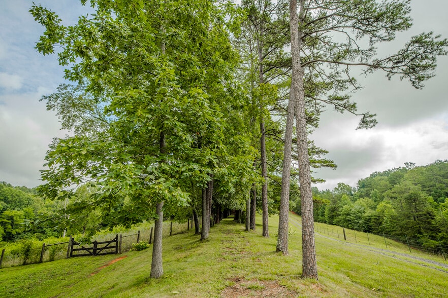 More Photos Of 305 Sluder Branch Rd, Leicester Land For Sale