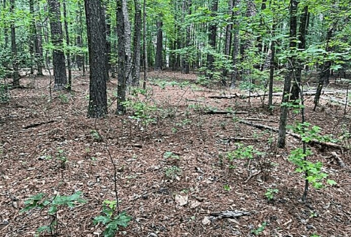 More Photos Of Jimmie Mayfield Blvd Fayetteville, GA 30215 United States, Fayetteville Land For Sale