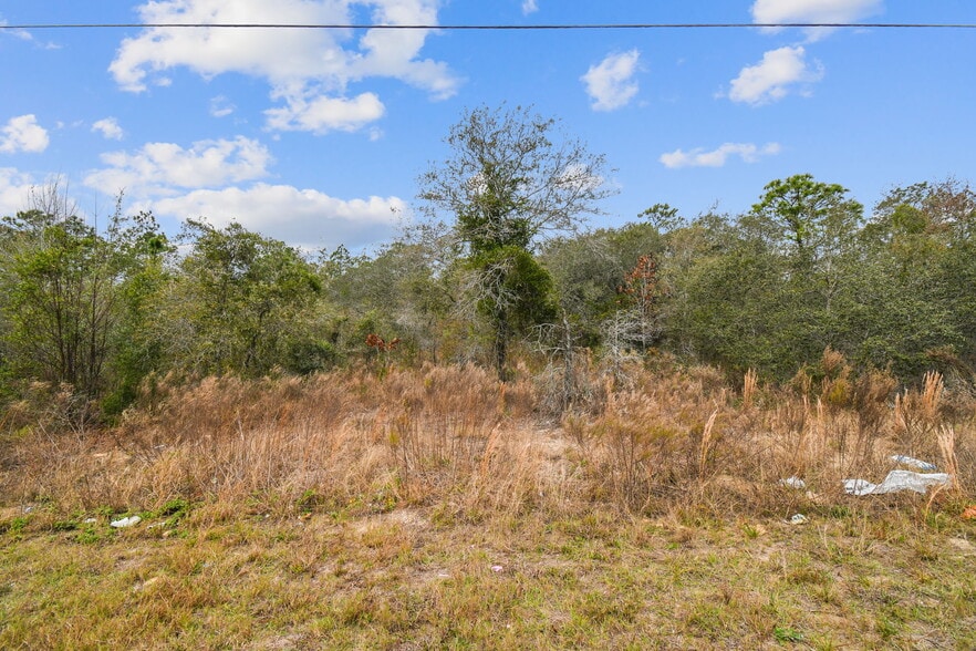 More Photos Of 0 Sunshine Grove Rd, Brooksville Land For Sale