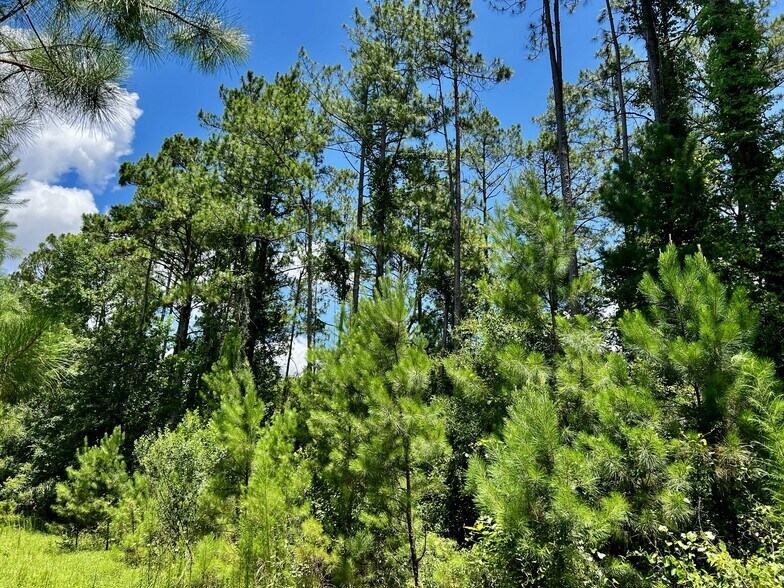 More Photos Of 000 New Kings Road, Jacksonville Land For Sale