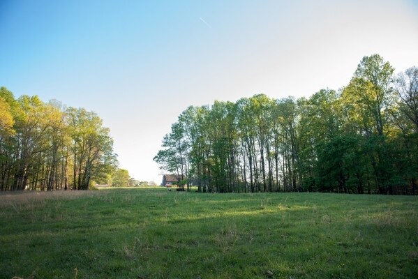 More Photos Of 115 Kidd Rd, Colfax Land For Sale