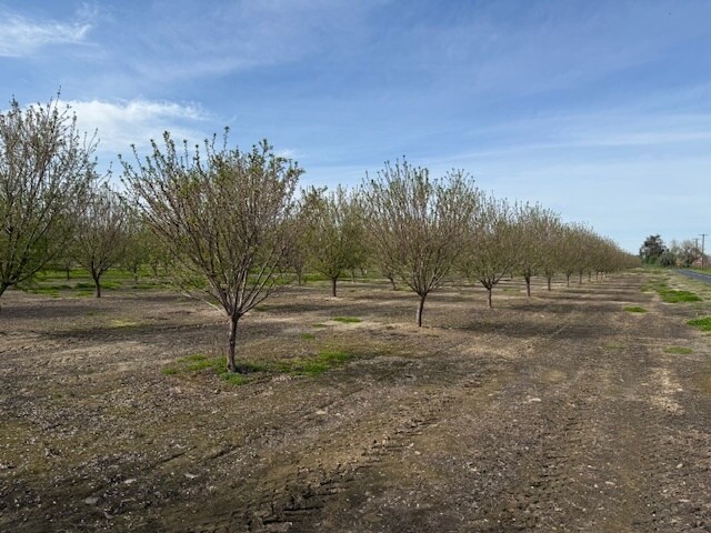 More Photos Of Leedom Rd @ Mountain View Rd, Hughson Land For Sale