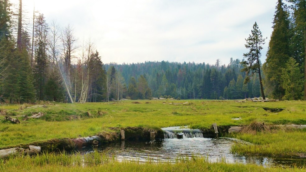 Primary Photo Of Forest Route, Hume Land For Sale