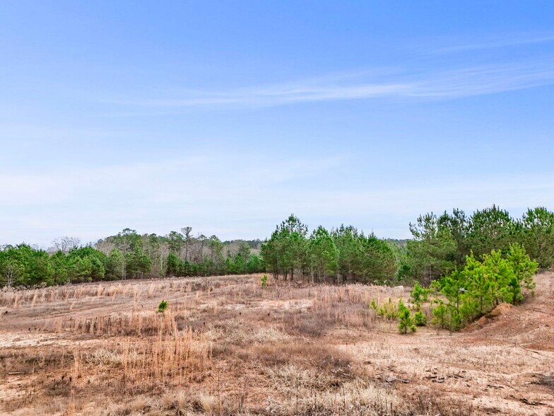 More Photos Of 16.31+/- AC Franklin Parkway Franklin GA 30217, Franklin Land For Sale