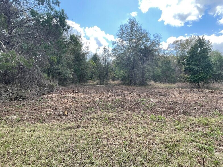 More Photos Of 16982 SE Highway 42, Weirsdale Land For Sale