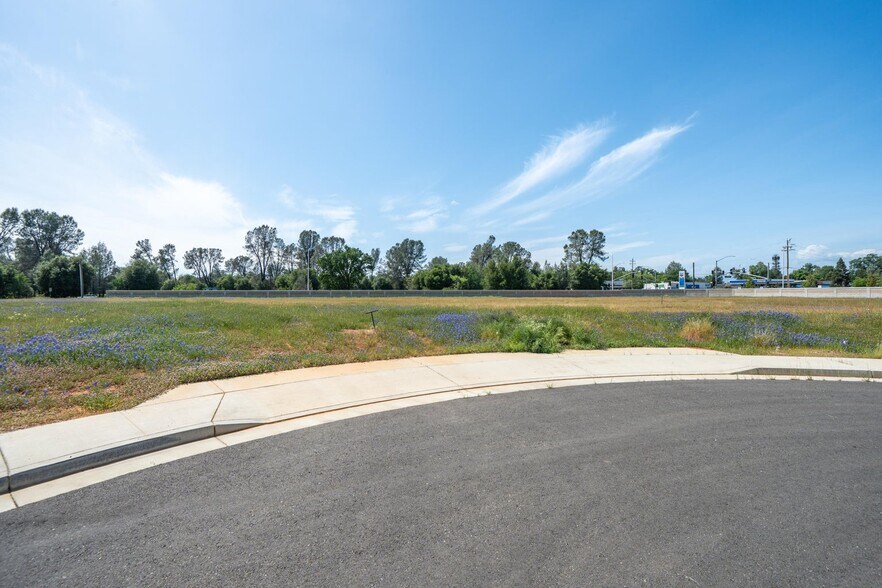 Primary Photo Of Rancho Industrial Park, Redding Land For Sale