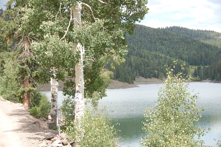 More Photos Of Lake Beaver E, Beaver Land For Sale