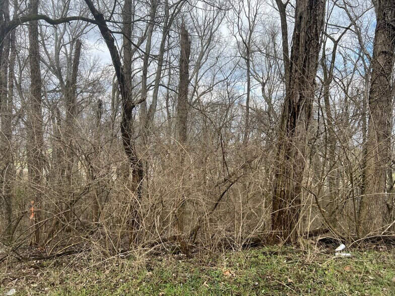 More Photos Of 915 1st Ave, Mount Pleasant Land For Sale