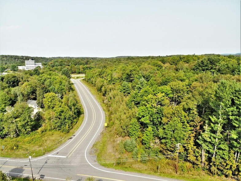 More Photos Of Old Route 17 @ County Route 174, Harris Land For Sale