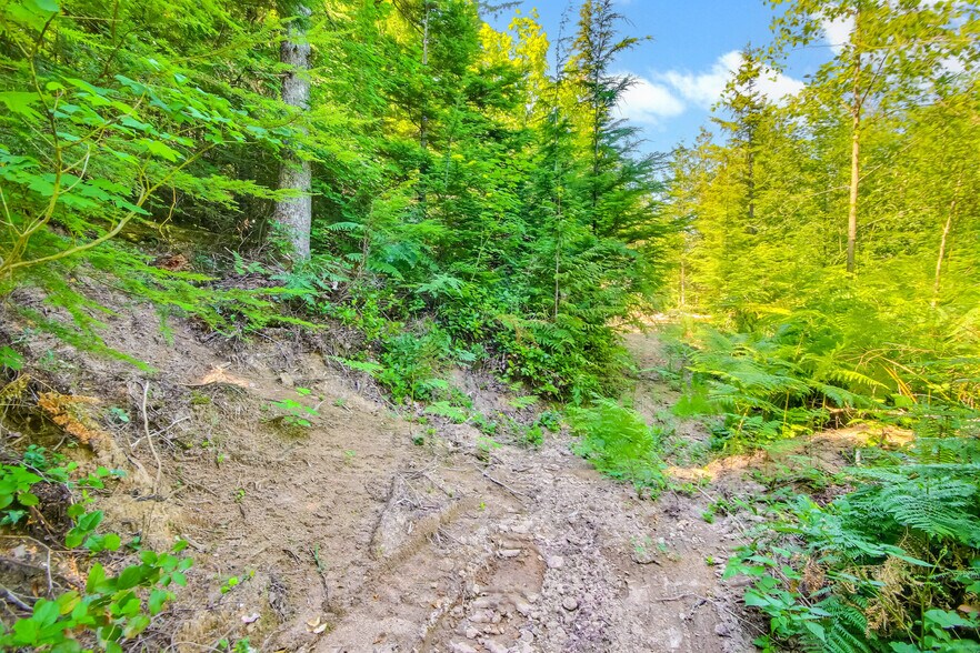 More Photos Of 32750 343rd Ave SE, Ravensdale Land For Sale