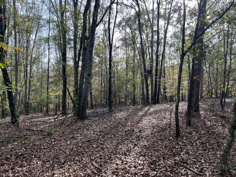 More Photos Of 0 Dickson Dr, Danielsville Land For Sale