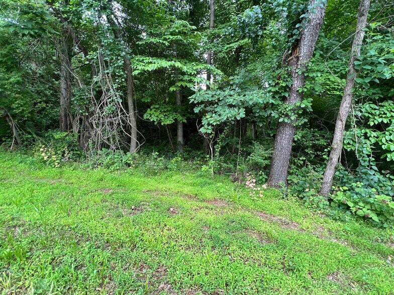 More Photos Of 6322 Hopewell Rd, The Plains Land For Sale