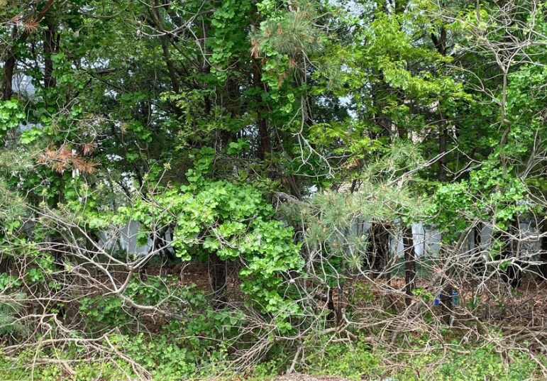 More Photos Of 0 East Main St, Tuckerton Land For Sale