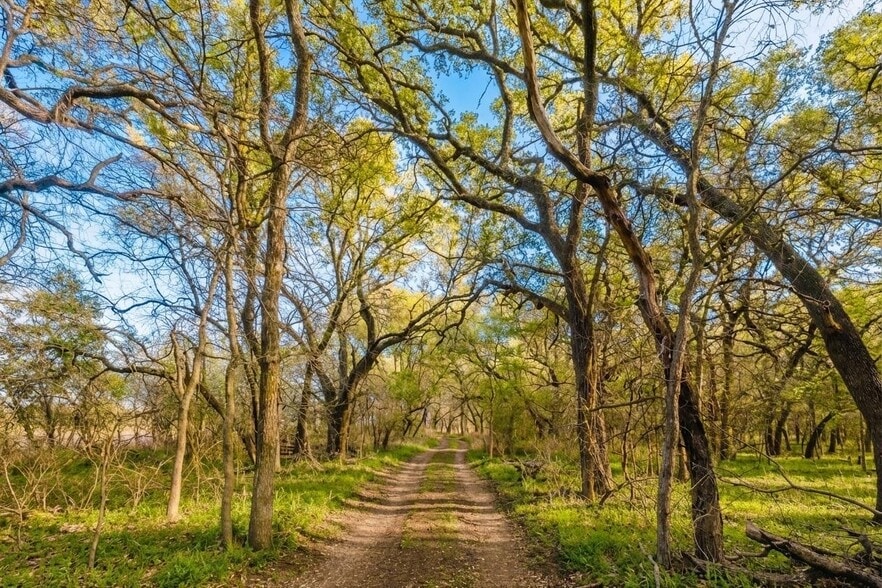 More Photos Of 7120 HWY 183 N, Early Land For Sale