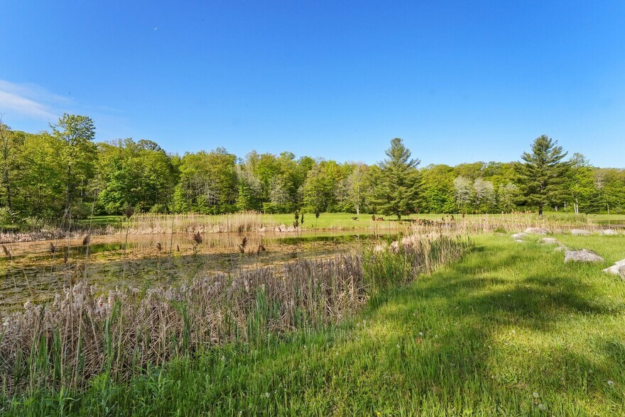 More Photos Of M-55 & M-37, Wellston Land For Sale