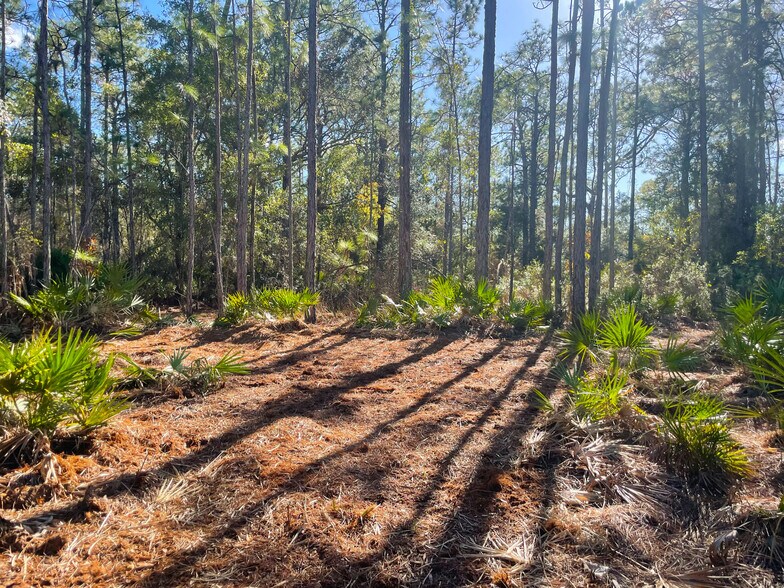 More Photos Of 9115 S Suncoast Blvd, Homosassa Land For Sale