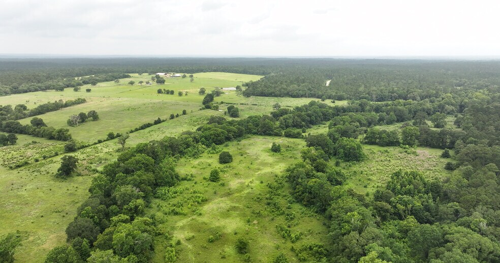 More Photos Of 44 Bucking Bull Rd, New Waverly Land For Sale