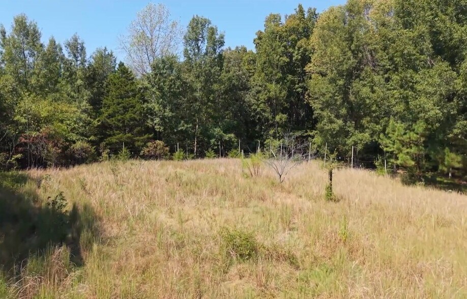 More Photos Of 138 Vaughn Rd, Charlotte Land For Sale