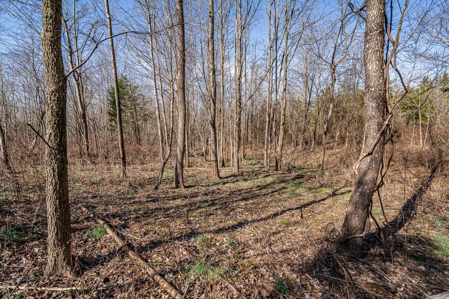 Primary Photo Of 0 Wilson Rd, Radcliff Land For Sale