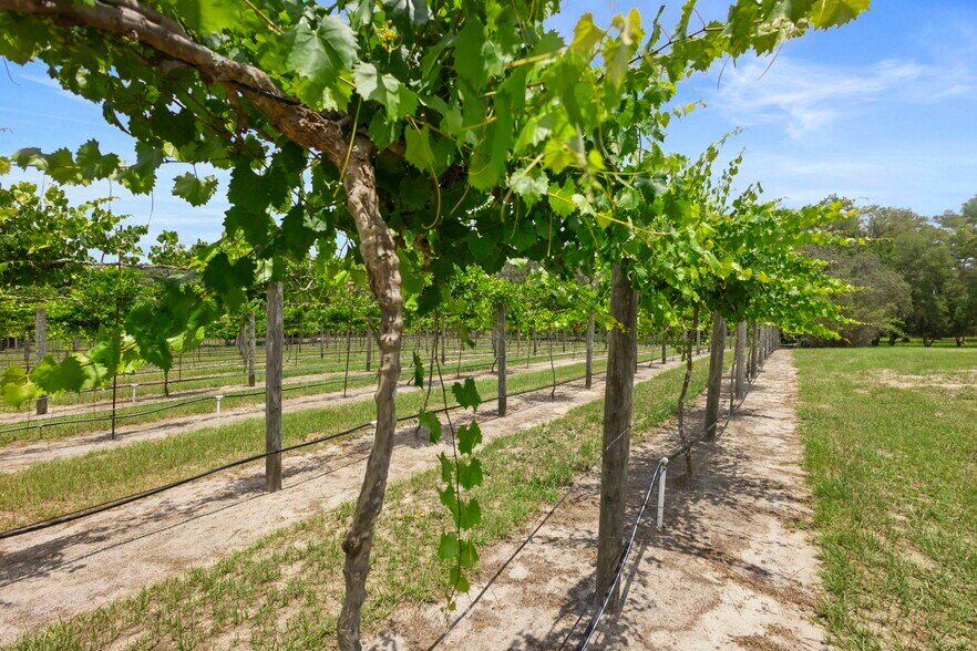 More Photos Of 1056 Reynolds Rd, De Leon Springs Specialty For Sale