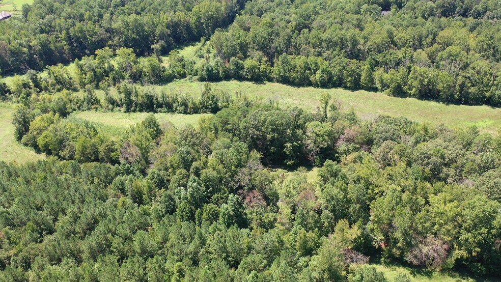 More Photos Of 4303 Davidson, Davidson Land For Sale