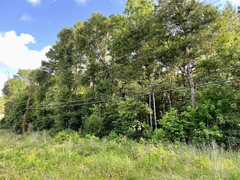 More Photos Of 0 Hwy 190 E, Huntsville Land For Sale