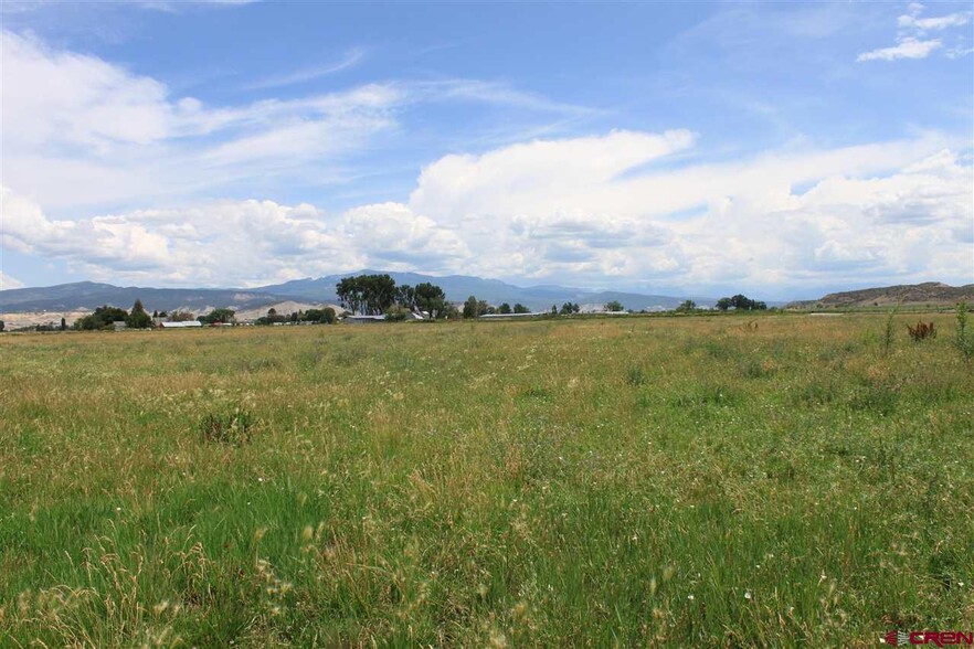 Primary Photo Of TBD 6600, Montrose Land For Sale