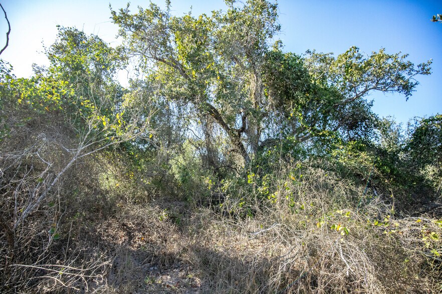 More Photos Of 6498 Highway 35 North, Rockport Land For Sale