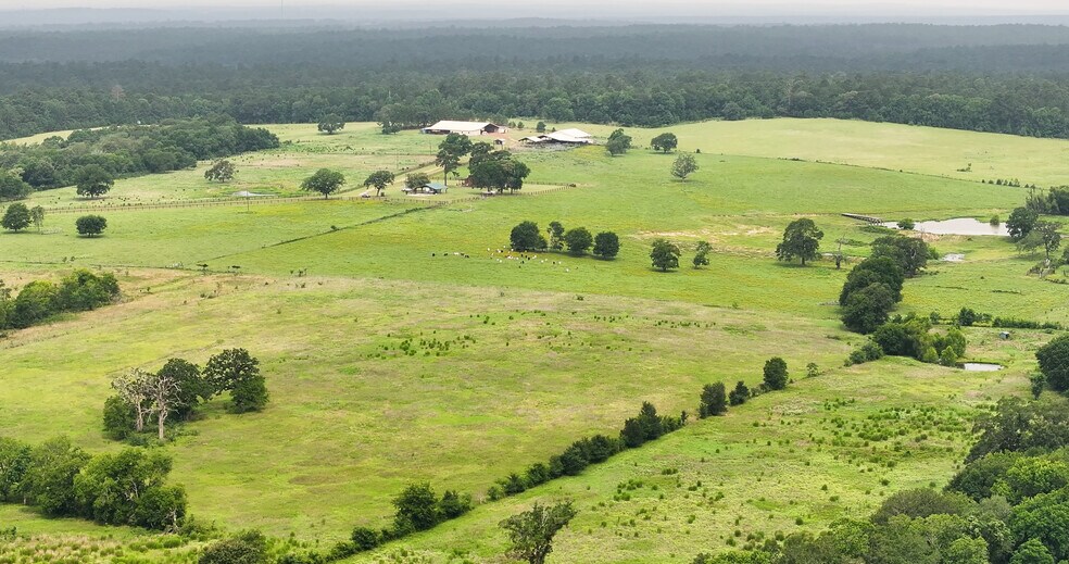 More Photos Of 44 Bucking Bull Rd, New Waverly Land For Sale