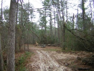 More Photos Of Pin Oak & Reinhart, New Caney Land For Sale