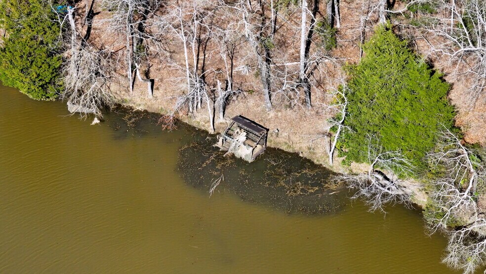 More Photos Of 1073 Boyds Mill Pond Rd, Laurens Land For Sale