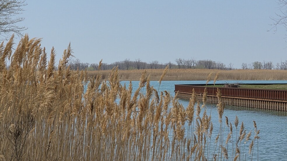 More Photos Of 7116 McDonald St, Harsens Island Marina For Sale