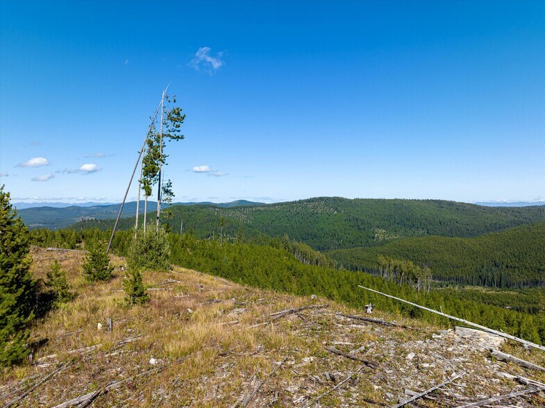 More Photos Of Nhn Logan Creek Road, Kila Land For Sale