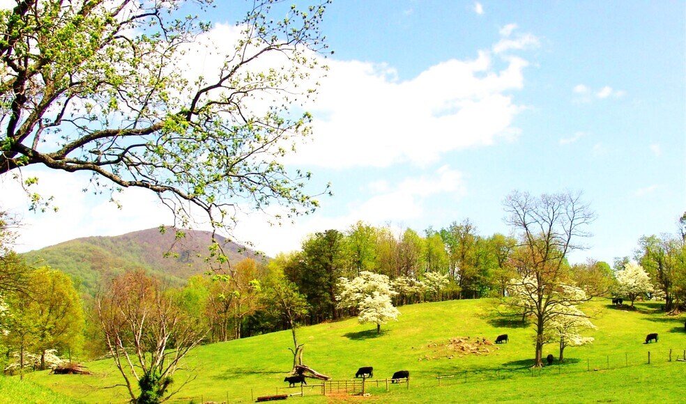 More Photos Of Little Washington Rappahannock County, Washington Land For Sale