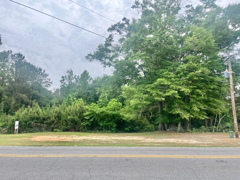 More Photos Of 23940 Co Rd 47 Rd, Perdido Land For Sale
