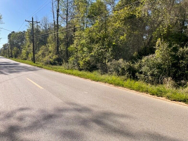 More Photos Of Sleepy Hollow Road, Conroe Land For Sale