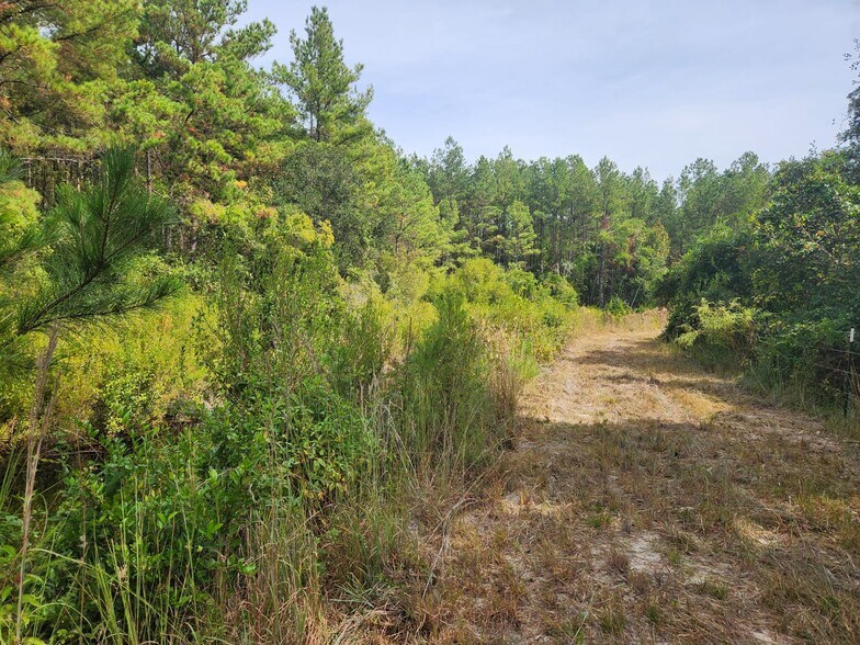 More Photos Of 6939 SW 1 Federal Rd, Lamont Land For Sale